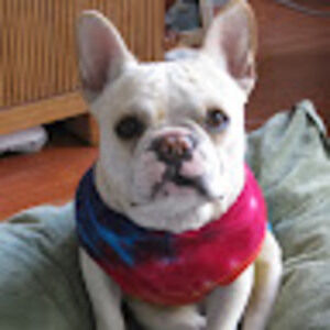 Meet your Posher, Dorothy